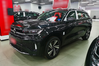 大众 揽巡 2025款 380TSI 四驱R-Line巡游 众享款