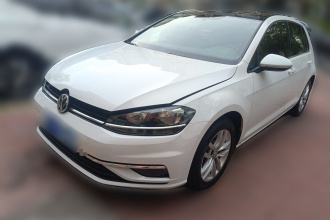 大众 高尔夫 2018款 230TSI 自动舒适型