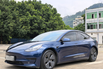 特斯拉 Model 3 2021款 标准续航后驱升级版