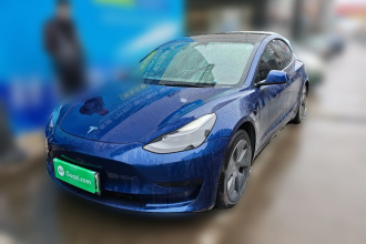 特斯拉 Model 3 2021款 标准续航后驱升级版 3D6