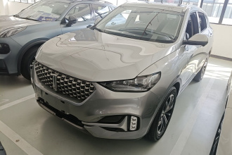 魏牌 VV6 2021款 2.0T 两驱智享+