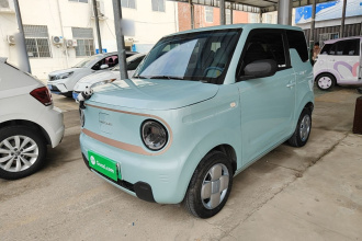 吉利银河 2024款 熊猫mini 200km 耐力熊