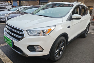 福特 翼虎 2019款 EcoBoost 180 两驱铂翼型 国VI