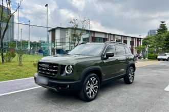哈弗大狗 2021款 1.5T DCT两驱边牧-旺财版