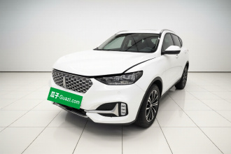魏牌 VV6 2021款 2.0T 两驱智护+