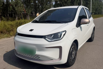 思皓 花仙子 2021款 200km 经典型