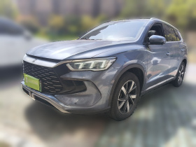 比亚迪 宋Pro新能源 2023款 冠军版 DM-i 110KM超越型