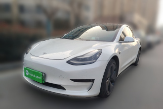 特斯拉 Model 3(进口) 2019款 长续航全轮驱动版