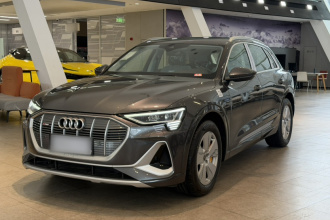 奥迪e-tron 2021款 50 quattro 豪华型