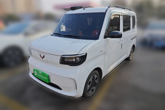 五菱汽车 五菱之光新能源 2025款 305km 进取型