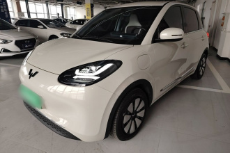 五菱汽车 五菱缤果 2023款 333km 悦享款