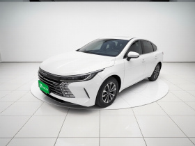 比亚迪 驱逐舰05 2024款 荣耀版 DM-i 55KM 豪华型