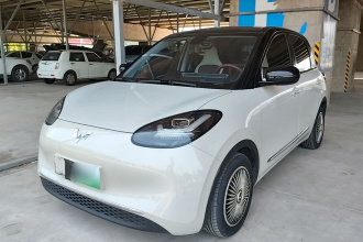 五菱汽车 五菱缤果 2023款 203km 舒享款