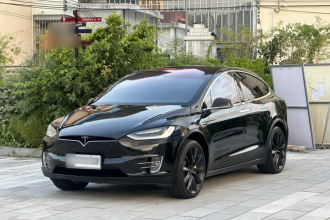 特斯拉 Model X 2020款 长续航升级版