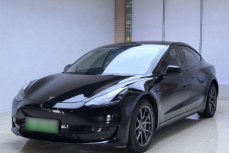 特斯拉 Model 3 2021款 标准续航后驱升级版