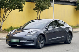 特斯拉 Model 3 2019款 标准续航后驱升级版
