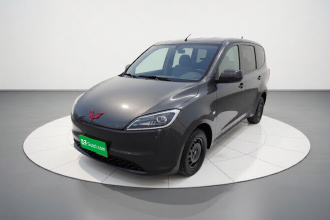 五菱汽车 五菱宏光新能源 2024款 纯电版 300KM 标准型
