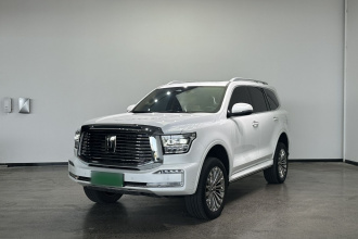 坦克500新能源 2023款 Hi4-T