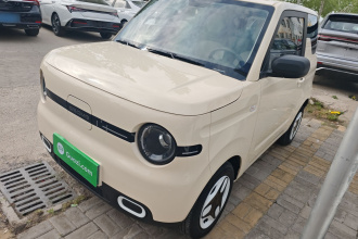 吉利银河 2025款 熊猫mini 210km 元气熊