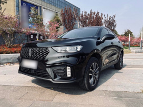 魏牌 VV5 2020款 1.5T 两驱智先锋