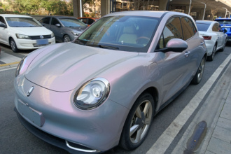 欧拉好猫 2021款 400km标准续航 缪斯版 磷酸铁锂