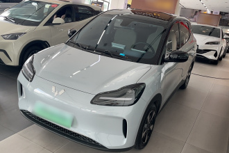 五菱汽车 五菱缤果PLUS 2024款 330km 五座版
