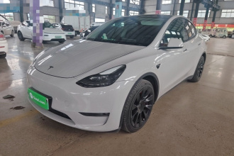 特斯拉 Model Y 2021款 标准续航后驱版