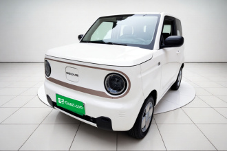 吉利银河 2023款 熊猫mini 200km 耐力熊