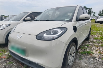 五菱汽车 五菱缤果 2023款 333km 快享款