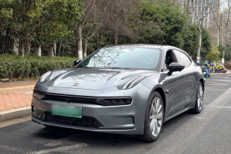 极氪001 2021款 长续航双电机 WE版