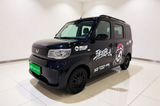 五菱汽车 五菱之光新能源 2025款 305km 进取型