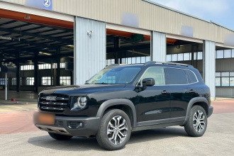 哈弗大狗 2022款 1.5T DCT两驱边牧版