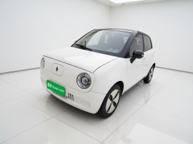 欧拉黑猫 2021款 301km 萌宠版