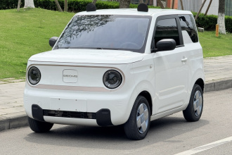吉利银河 2023款 熊猫mini 200km 耐力熊