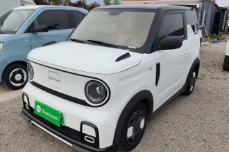 吉利银河 2024款 200km 熊猫卡丁