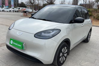 五菱汽车 五菱缤果 2024款 333km 悦享款