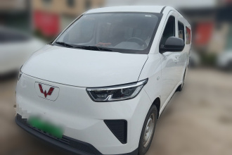 五菱汽车 五菱扬光 2024款 300km 舒适型客车版 75kW