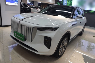 红旗E-HS9 2022款 690km 旗享版 六座