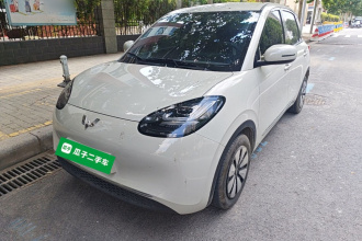 五菱汽车 五菱缤果 2023款 203km 舒享款