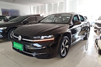 大众 迈腾 2024款  300TSI DSG尊享版显眼包