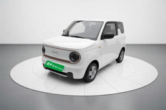 吉利银河 2024款 熊猫mini 200km 耐力熊