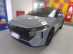 启辰大V 2023款 260T 爱豆版 Pro