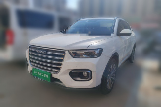 哈弗H6 2020款 2.0GDIT 自动铂金冠军版