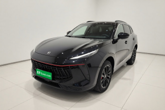 东风风行 风行T5 EVO 2021款 1.5TD DCT钻石版