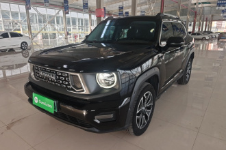 哈弗大狗 PLUS 新能源 2023款 DHT-PHEV 105km 潮电版