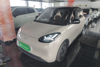 五菱汽车 五菱缤果 2023款 410km 灵犀尊享款