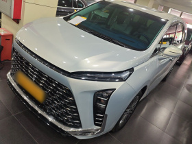 别克GL8新能源 2024款 陆尊 奢享版 6座