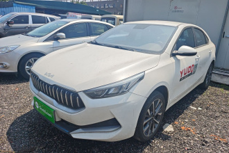 起亚K3新能源 2021款 EV 舒适版 410km