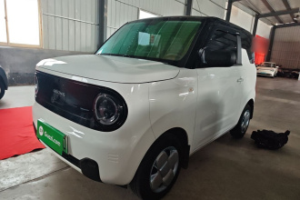吉利银河 2024款 熊猫mini 200km 耐力熊