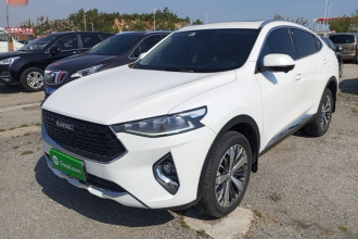 哈弗F7x 2019款 1.5T 两驱极智潮玩版
